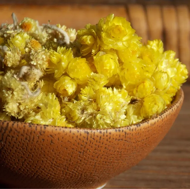 Helichrysum Essential Oil Slovenia 3